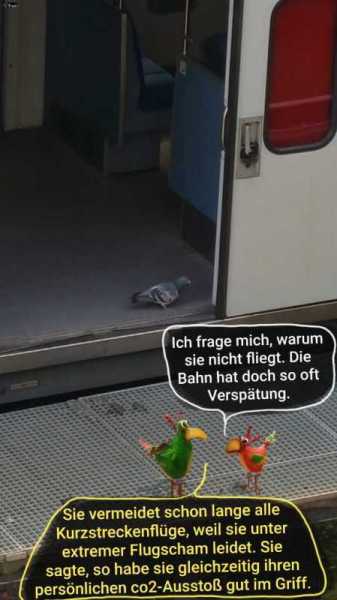 4272-21.05.2021