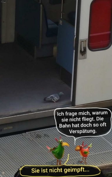 4291a-01.06.2021