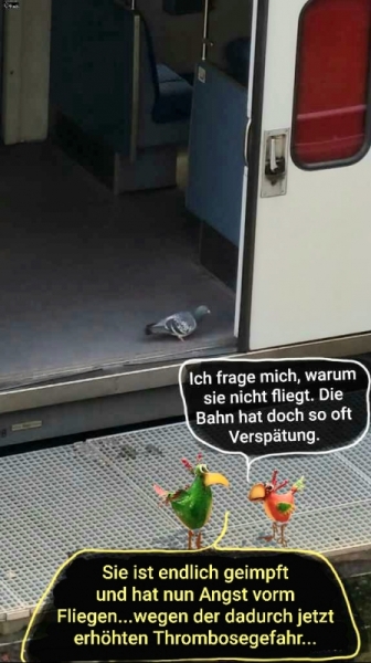 4292-03.06.2021