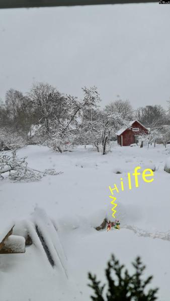 03.12.2021