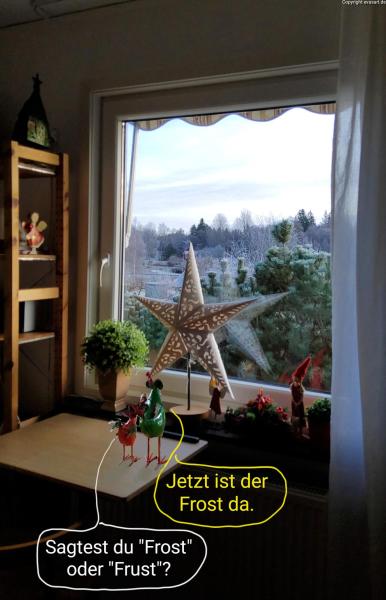6072-11. Dezember 2024