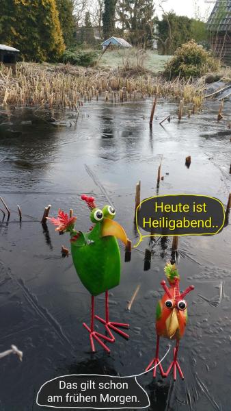 6086-24. Dezember 2024
