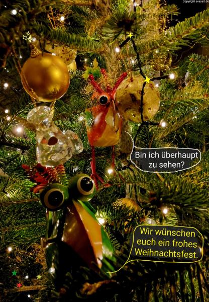 6088-24. Dezember 2024