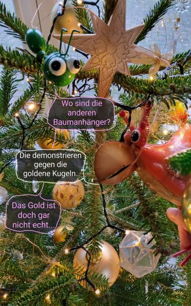 6091-26. Dezember 2024