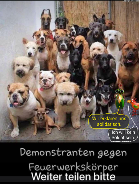 6096-30. Dezember 2024