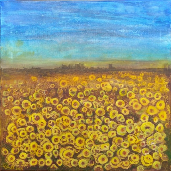 Sonenblumenfeld Schichtungen