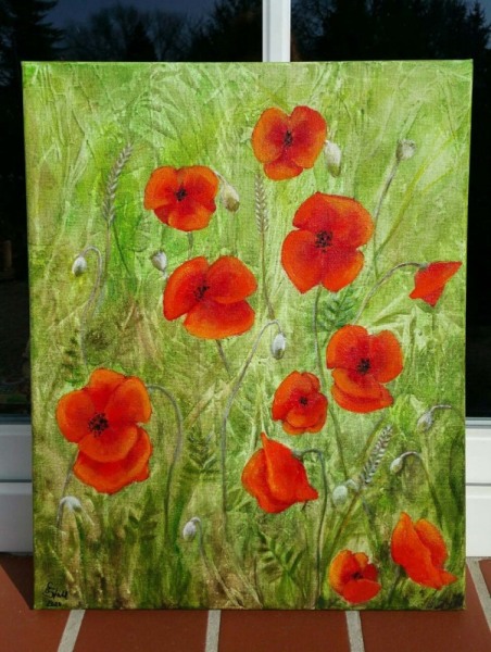 Mohn