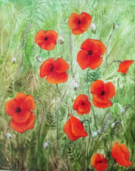 Mohn