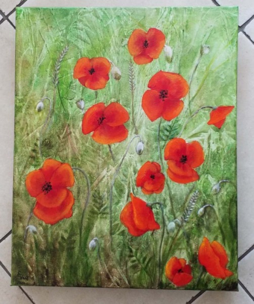 Mohn