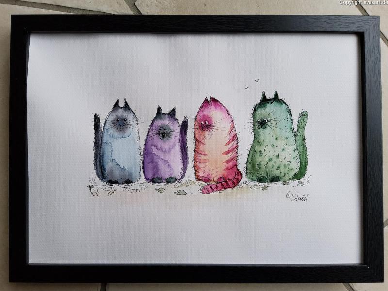 4 Katzen