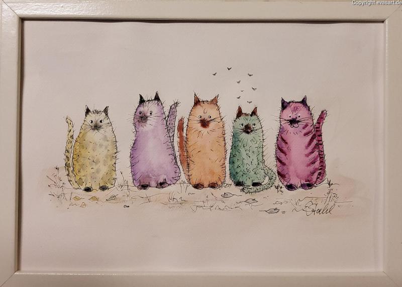 5 Katzen