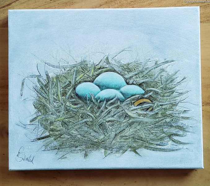 176-Nest