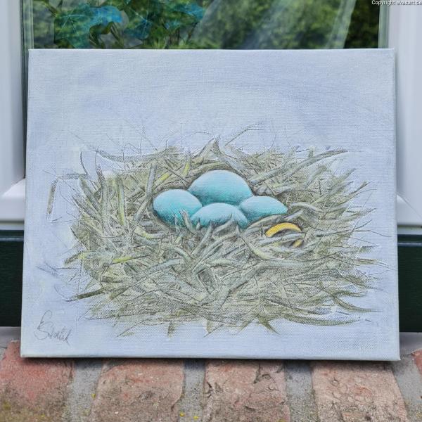 176-Nest