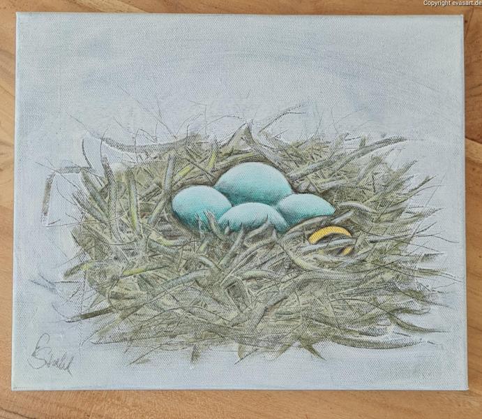 176-Nest