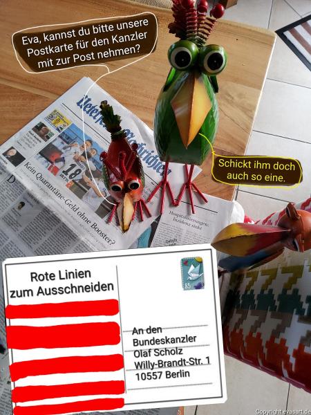 4766-12.02.2022