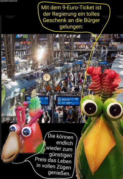 4954-11.06.2022