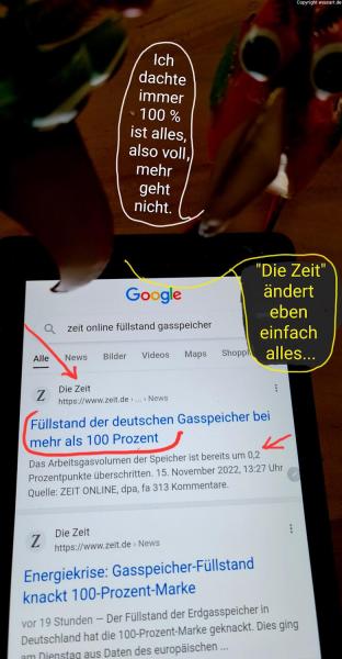 5163-17.11.2022