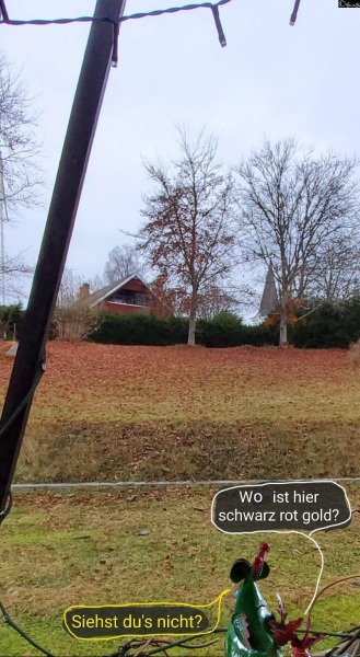 1_6428-13. November 2025