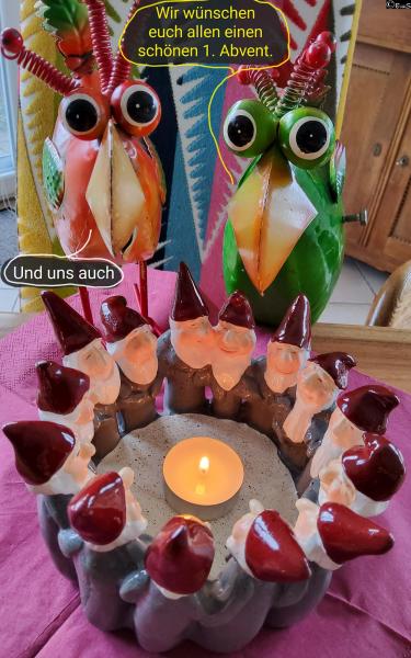 1_6446-30. November 2025