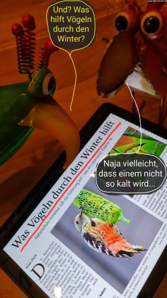 6099-02. Januar 2025