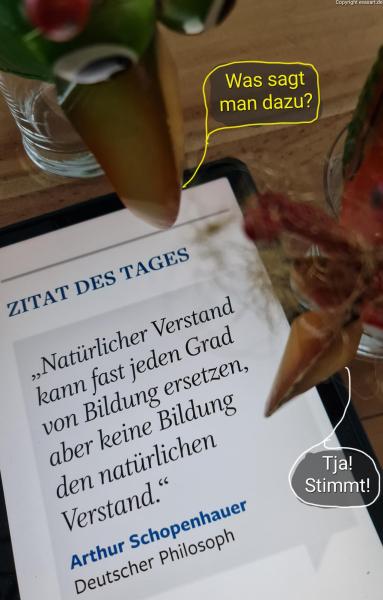 6102-11. Januar 2025