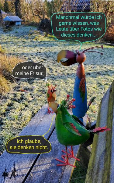 6108-11. Januar 2025