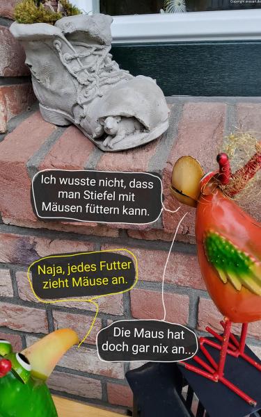 6112-15. Januar 2025