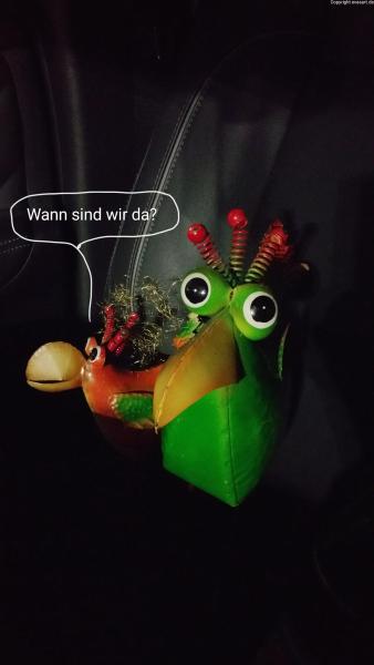 6113-16. Januar 2025