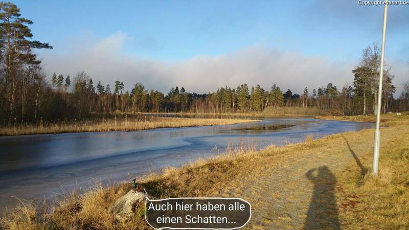 6117-20. Januar 2025