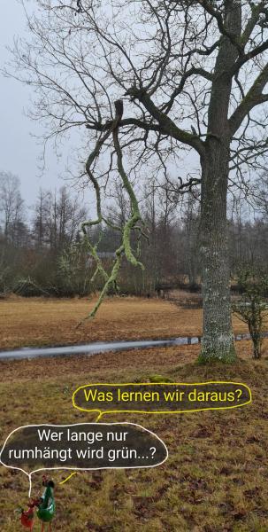 6118-21. Januar 2025