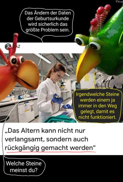 6395-17. Oktober 2025