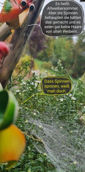 6399-14. Oktober 2025