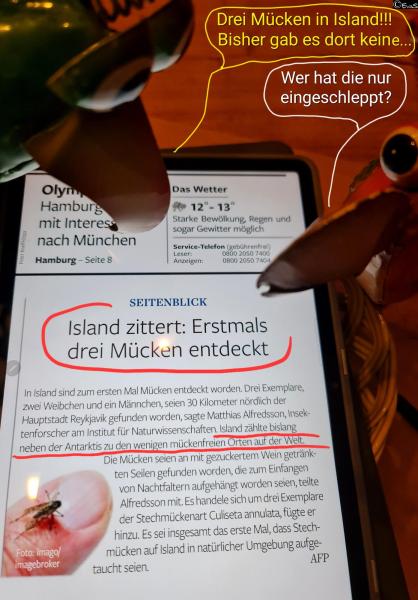 6406-23. Oktober 2025