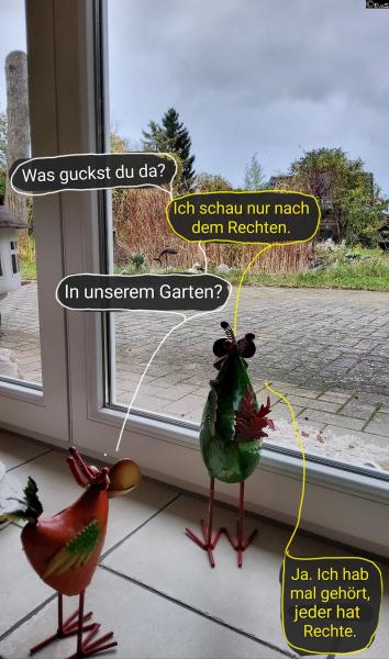 6407-24. Oktober 2025