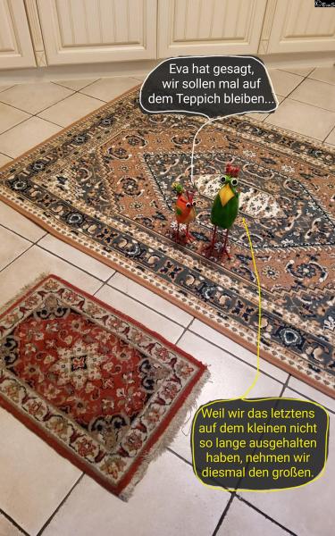 6408-28. Oktober 2025