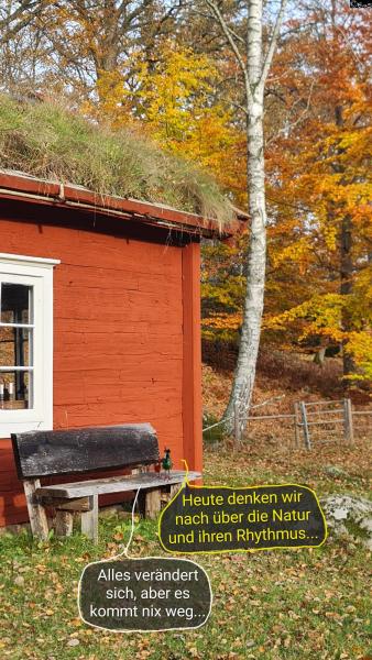 6416-1. November 2025