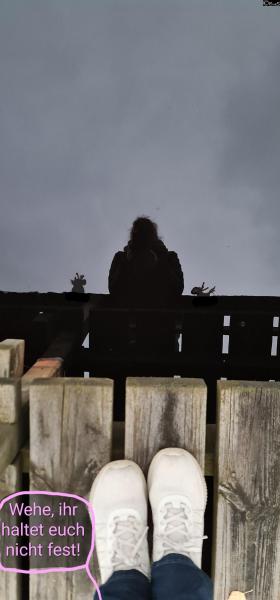 6417-2. November 2025