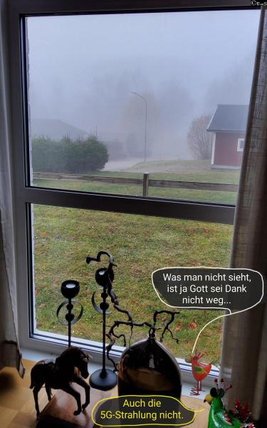 6425-7. November 2025