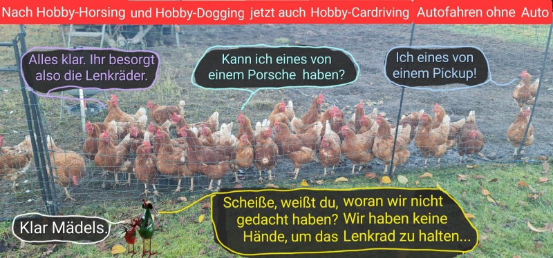 6429-10. November 2025