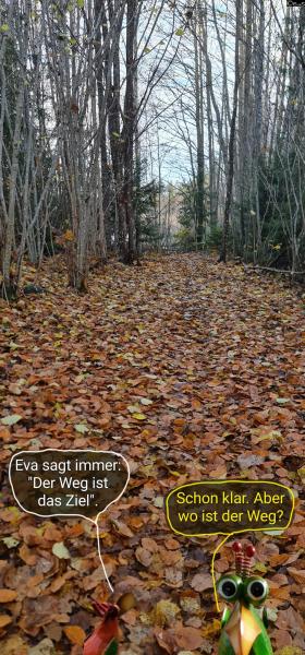 6431-13. November 2025