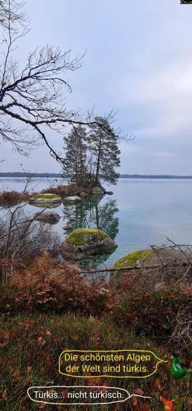 6432-14. November 2025