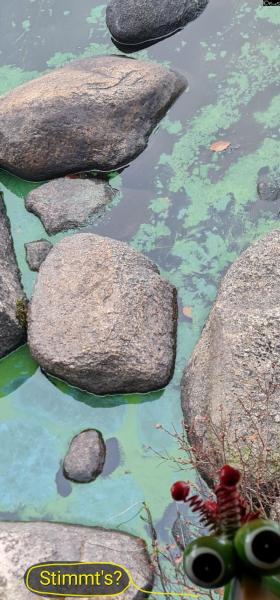 6435-14. November 2025