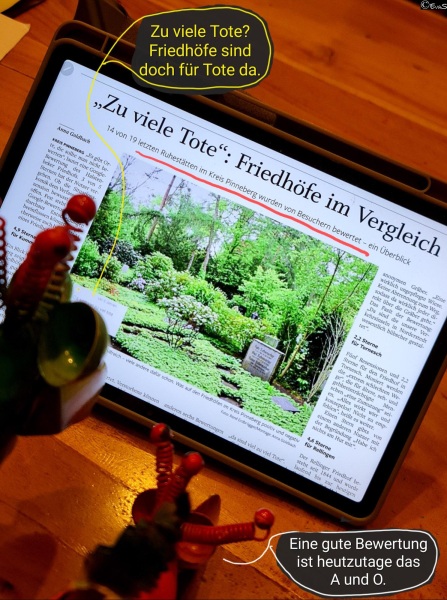 6438-19. November 2025