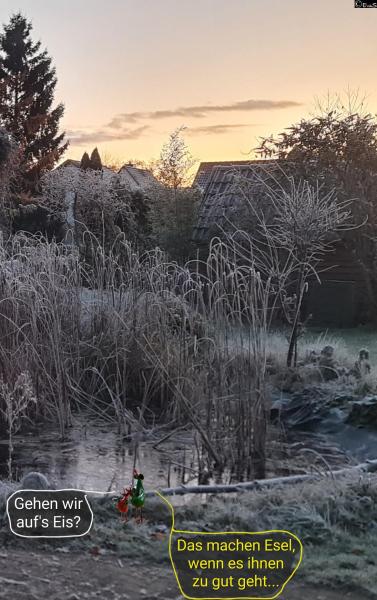 6442-21. November 2025