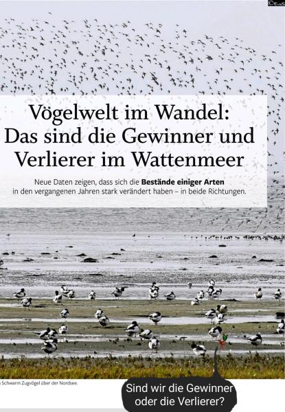 6443-24. November 2025