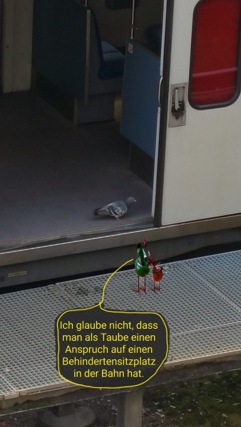 6455-9. Dezember 2025