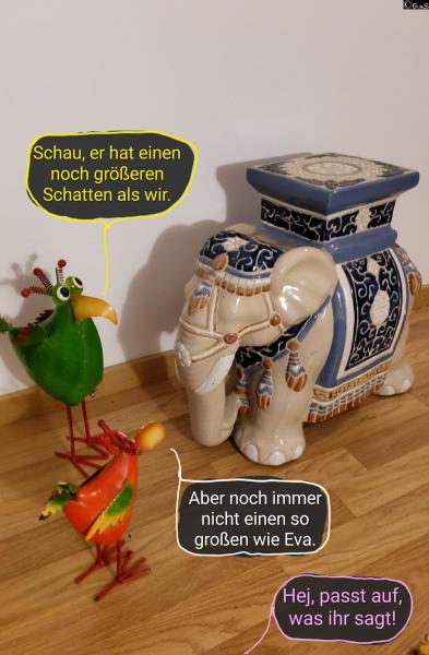 6462-20. Dezember 2025