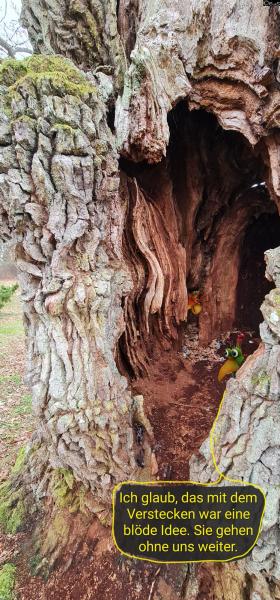 6465-16. Dezember 2025