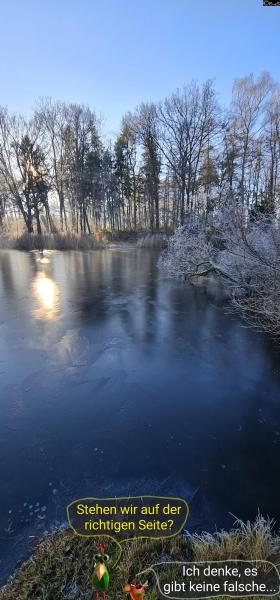 6477-29. Dezember 2025