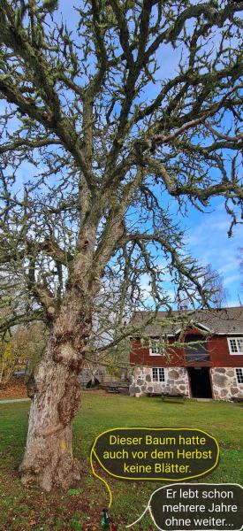 6422 -5. November 2025